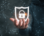 Cybersecurity Support - 11.24.23