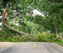 Road Blockage - 11.2.23