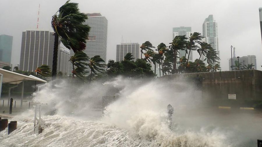 hurricane-irma-florida.jpeg