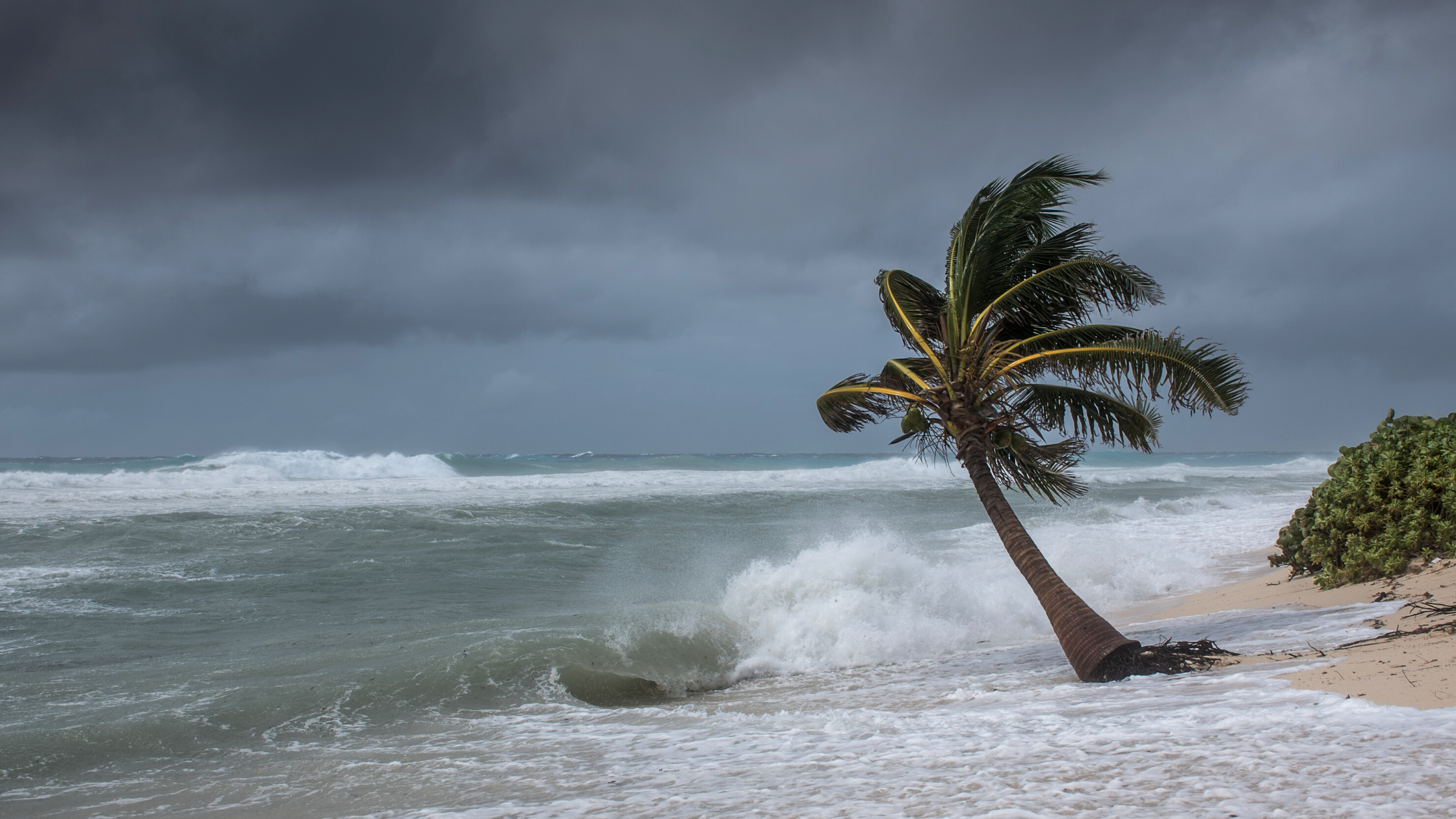 How Leading Freight Brokerages Prepare for Hurricane Season