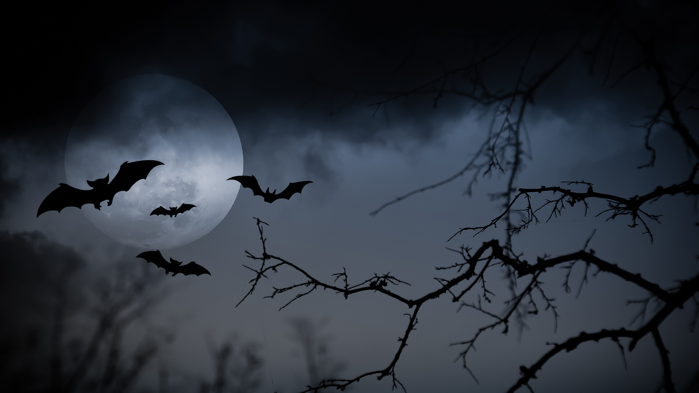 The Logistics of Halloween: Facts and Figures