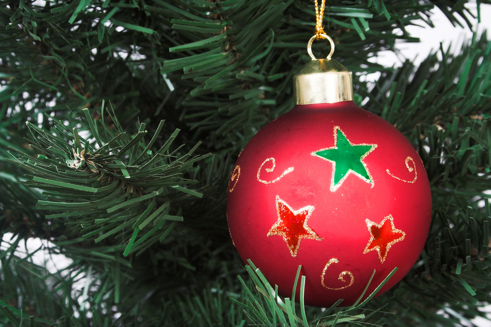 The 7 Best Types of Christmas Trees to Deck the Halls
